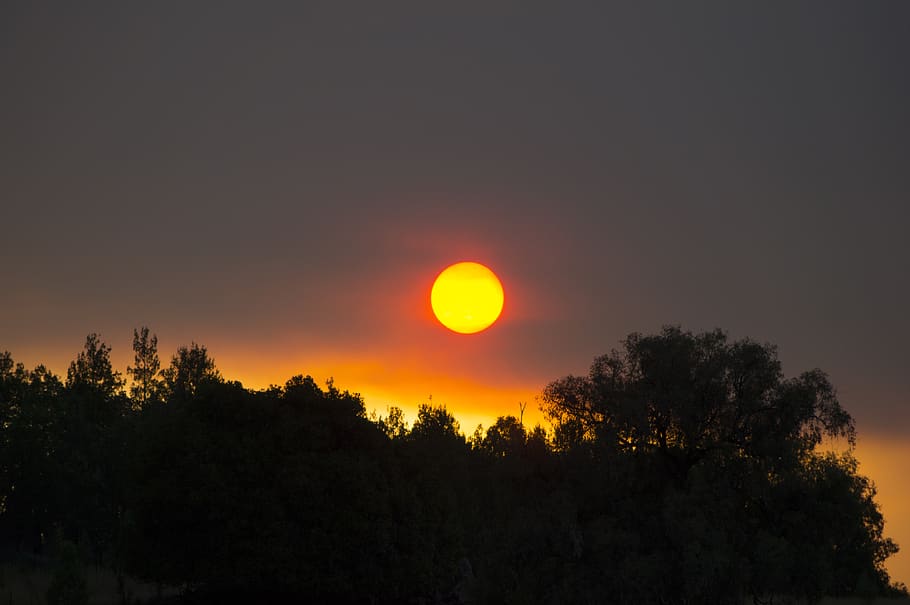 Bushfires and climate change communication: Between amplification and attenuation