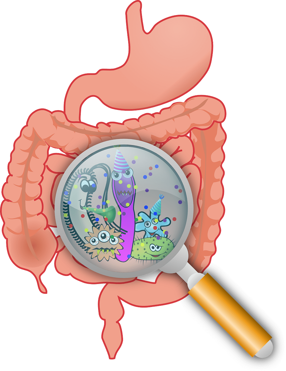 Poo and puns: Recent representations of faecal microbiota transplants in English language news&nbsp;media