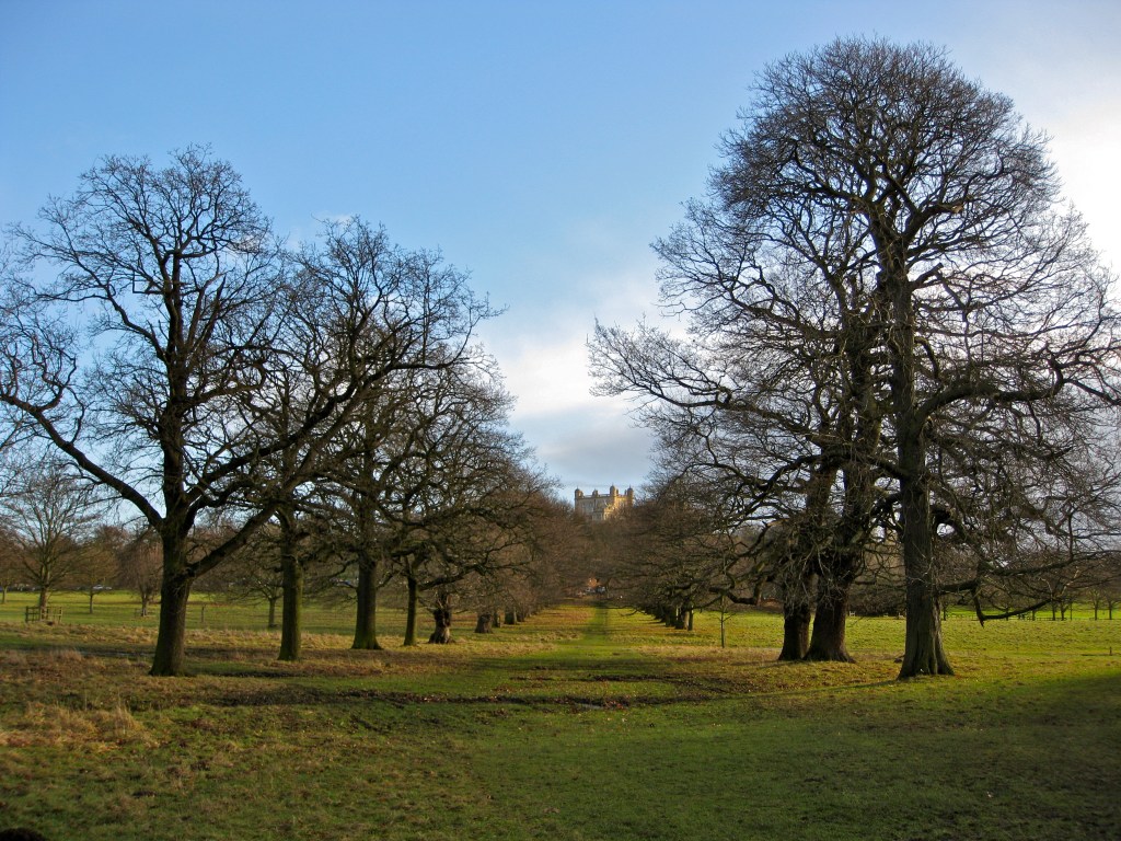 Making thoughts public: One year&nbsp;on