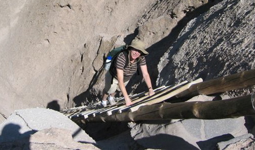 Metaphors in science and&nbsp;society