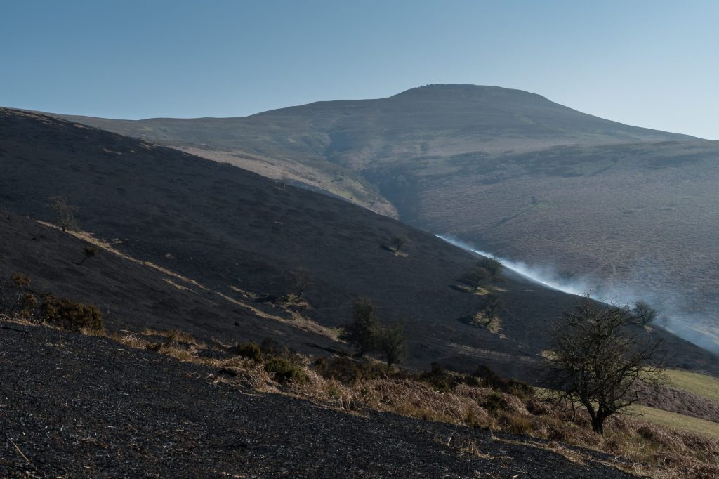 Wildfires in the UK: How do we talk about&nbsp;them?