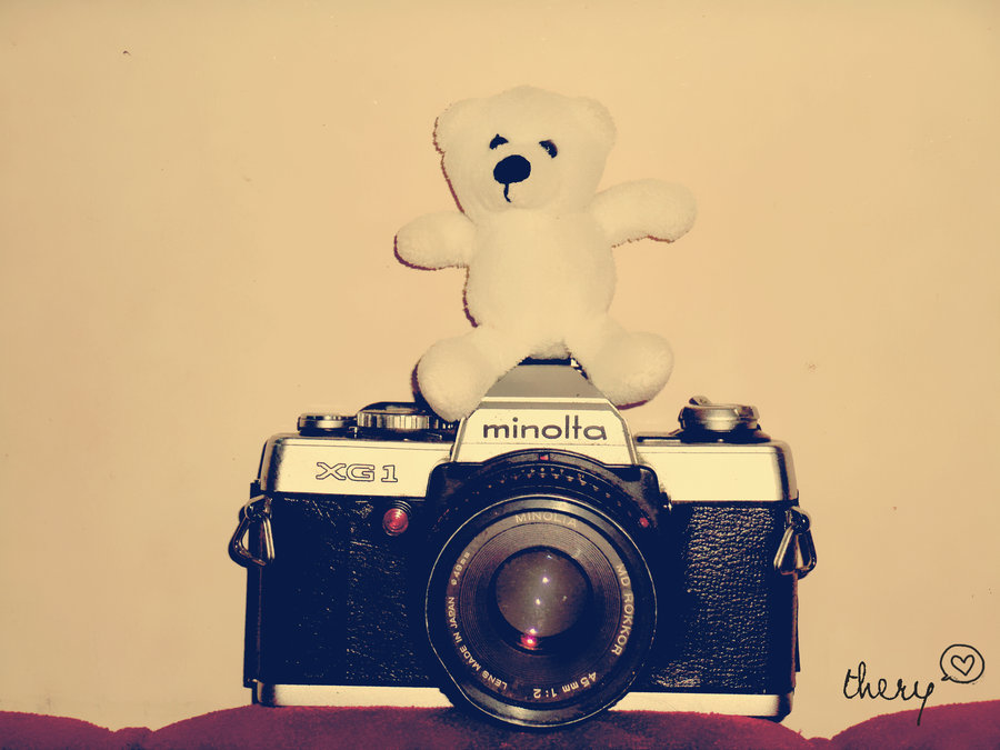 Making sociology public