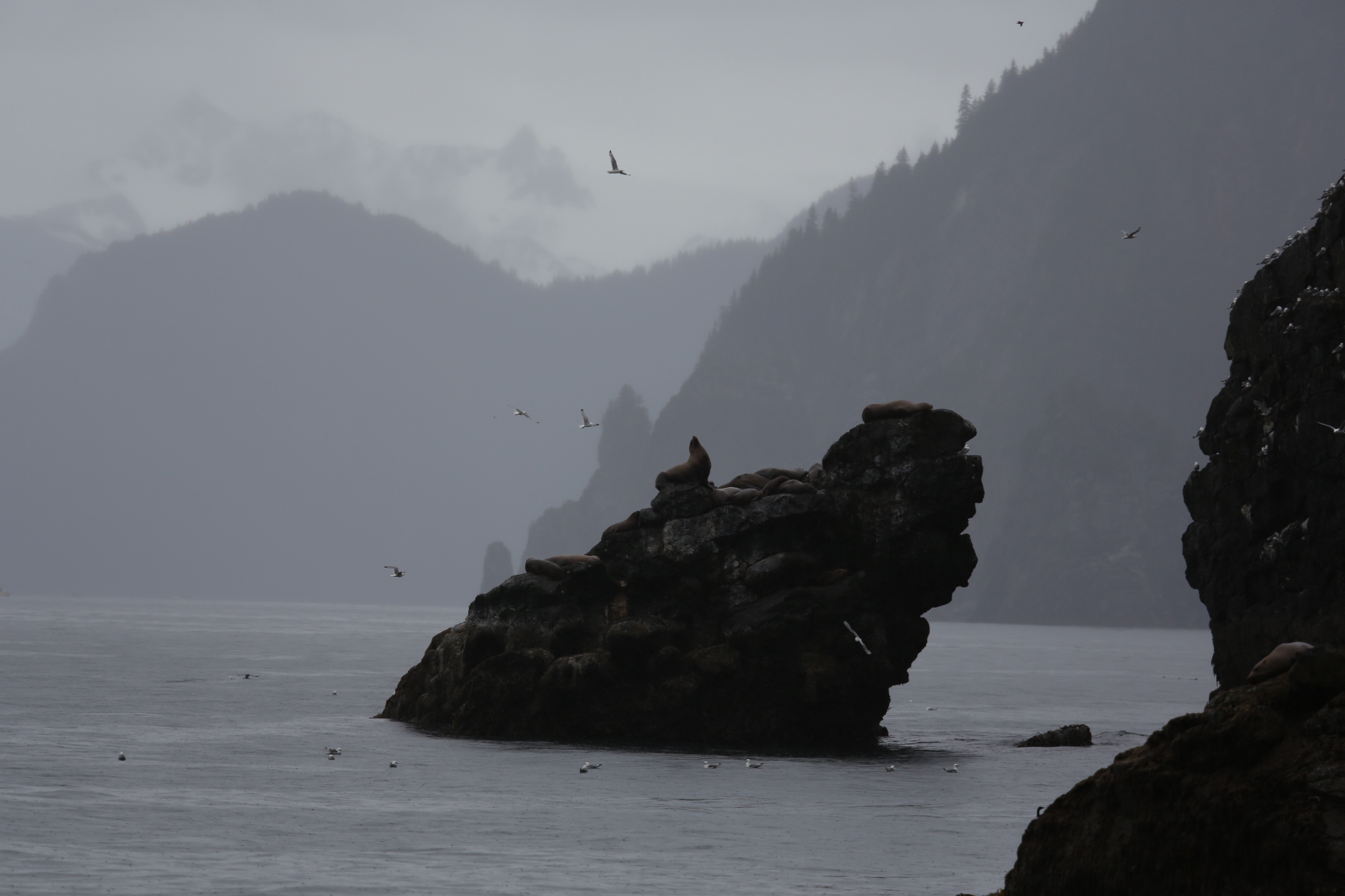 Taking charge of the apocalypse: On serendipity, walruses and last men