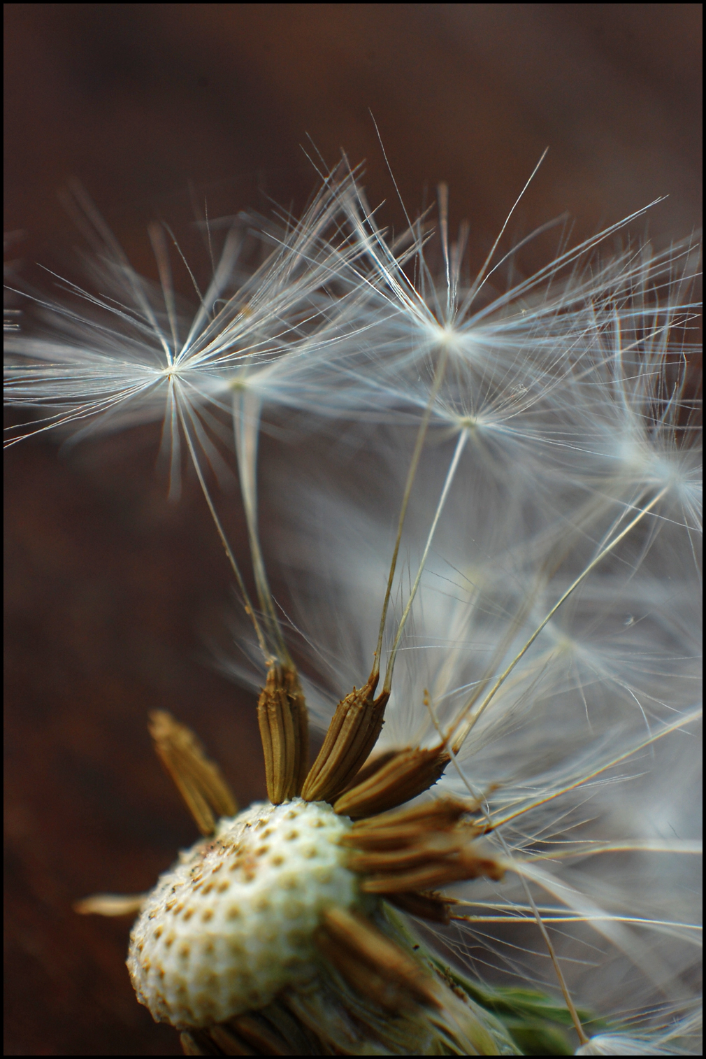 Seeding clouds – seeding doubts