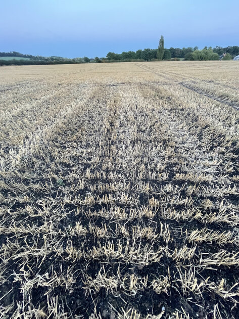Biochar in the news
