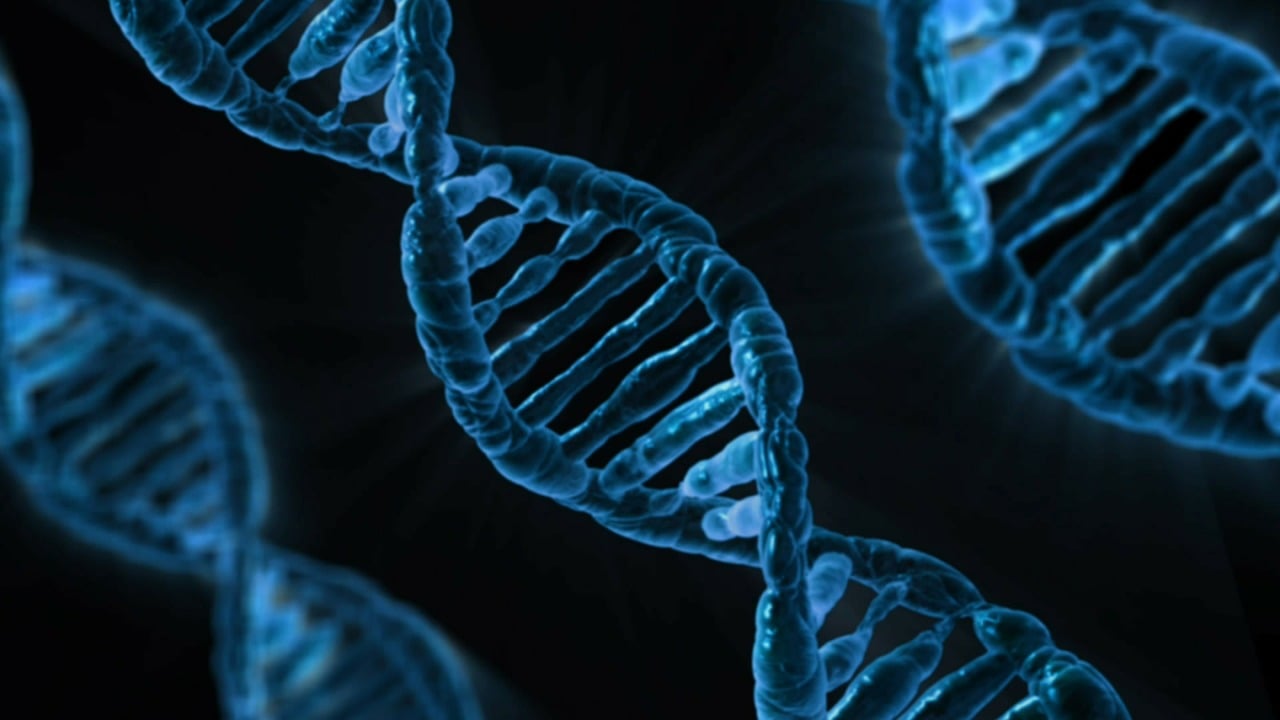 Synthesising genomes: Future promises, past metaphors