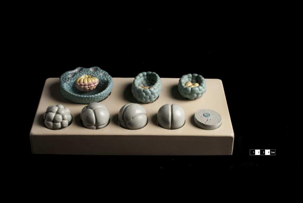 Synthetic embryos: Science, communication,&nbsp;clarification