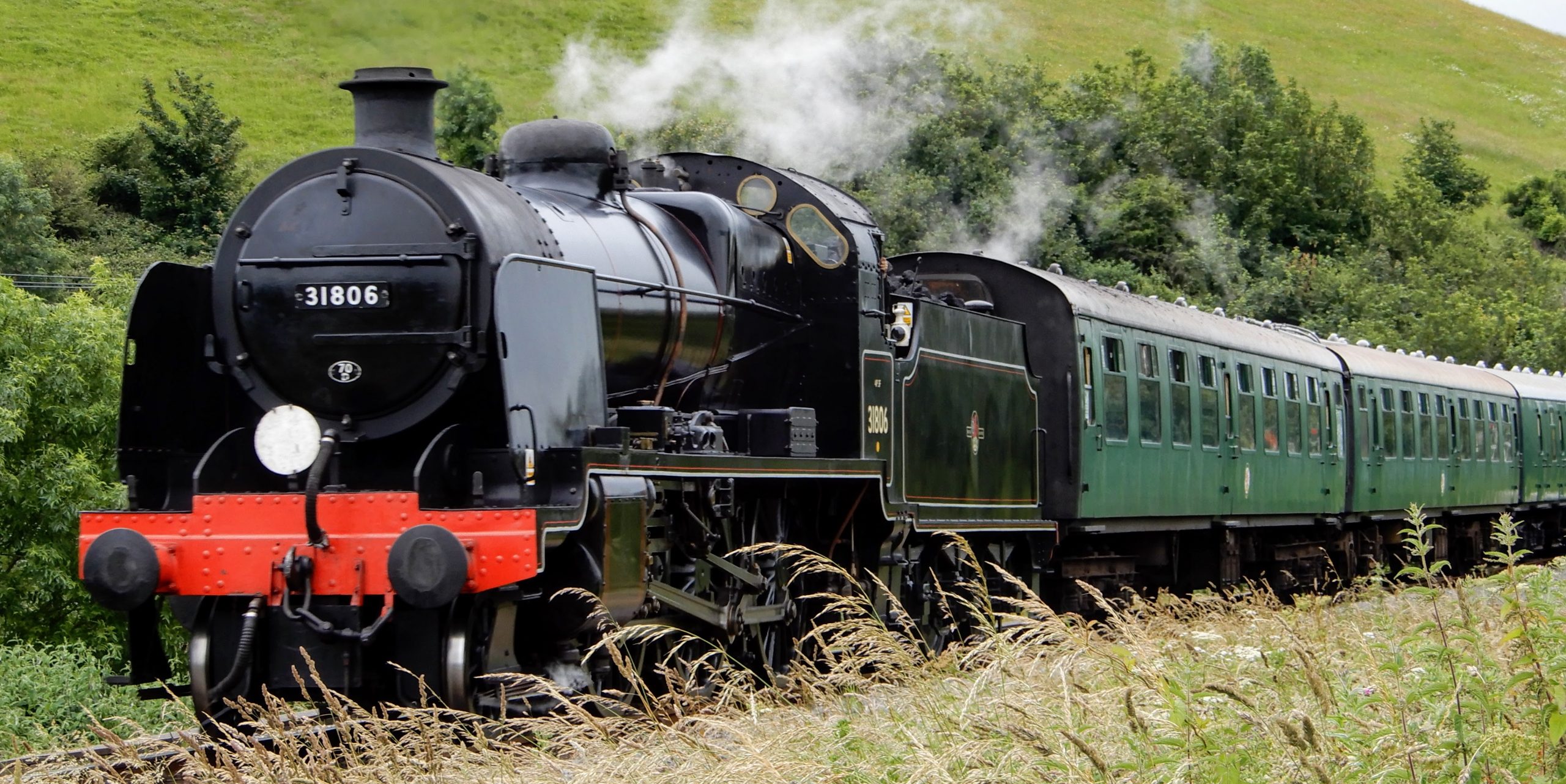Genes, trains and eureka-moments