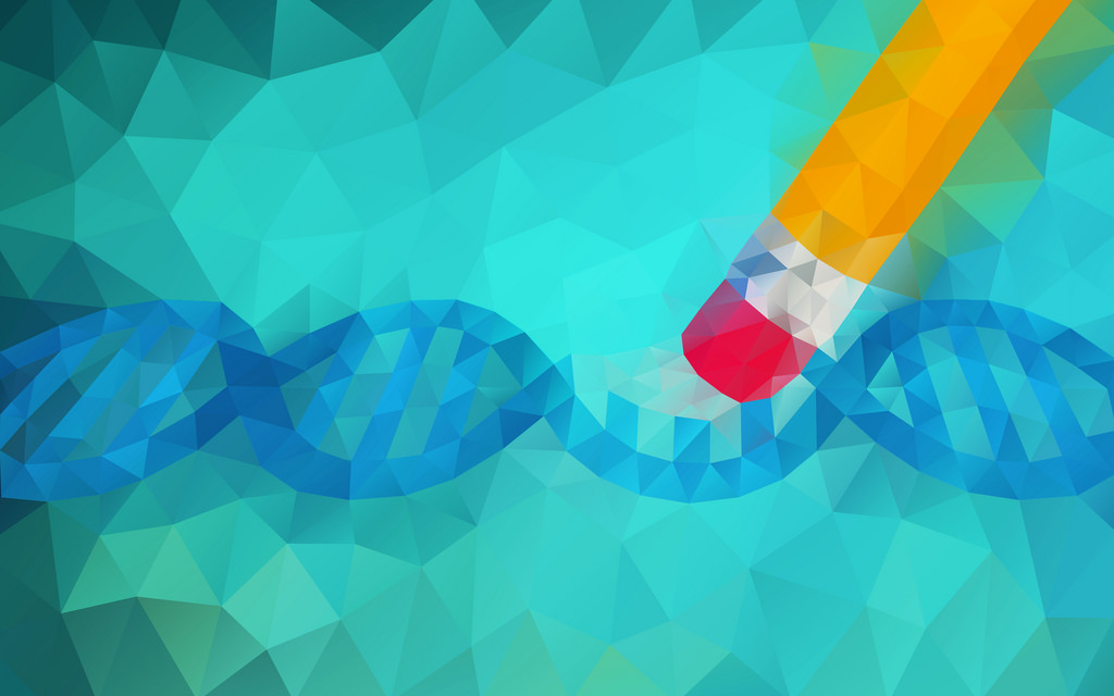 Why are NGOs sceptical of gene&nbsp;editing?