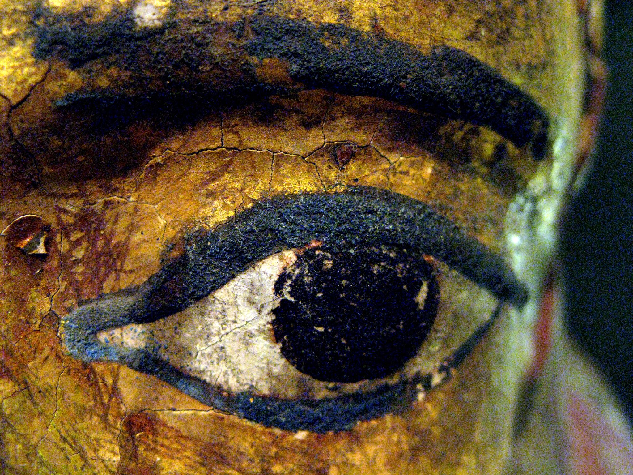 Eyes, erosion and expertise