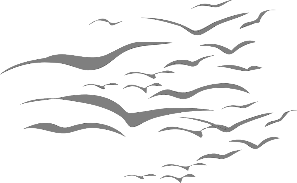 Bio-hybrid robots and responsible innovation