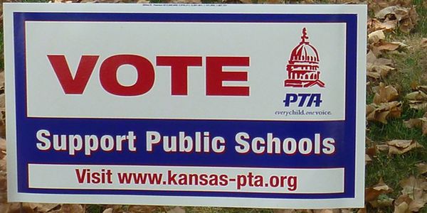 Religion, science and public education: a cautionary tale