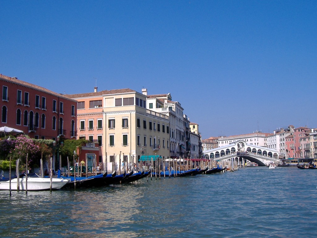 Between knotweed and the deep blue sky: Debating the value of science in&nbsp;society