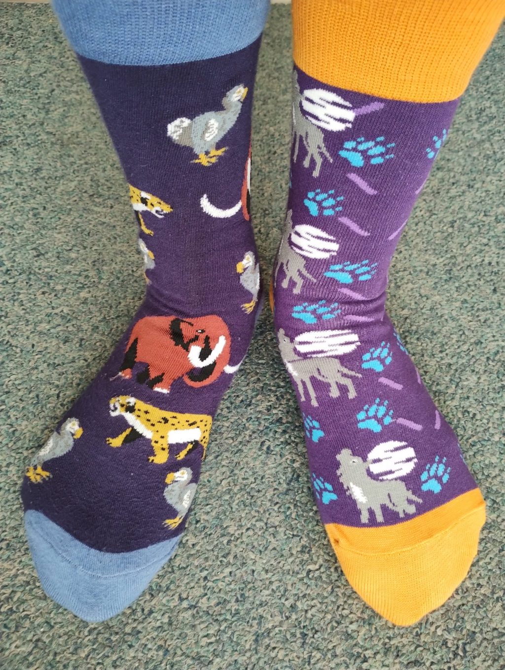 The (not) de-extinct dire wolf: Metaphors, myths and&nbsp;magic