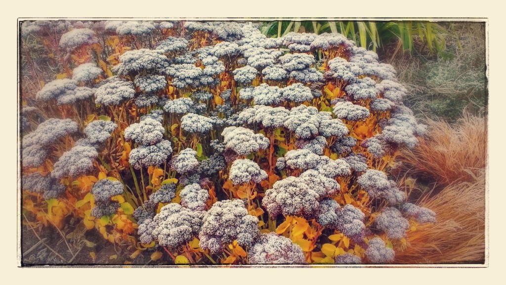 Making Science Public: 2016 blog&nbsp;round-up