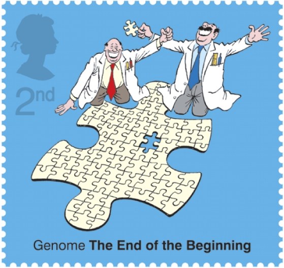 Maps, books and jigsaws: The human genome is&nbsp;back