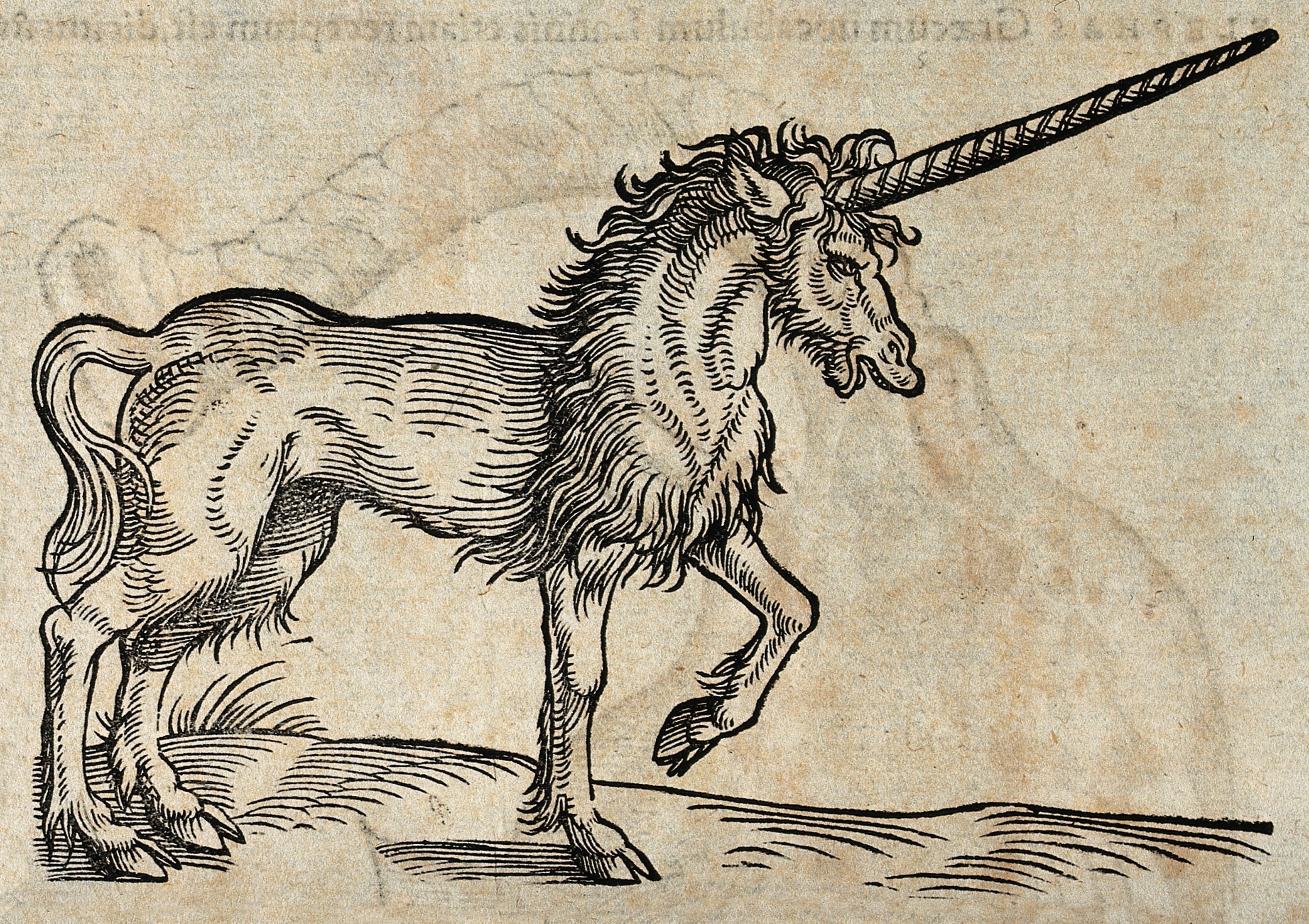 CRISPR, unicorns and responsible language use