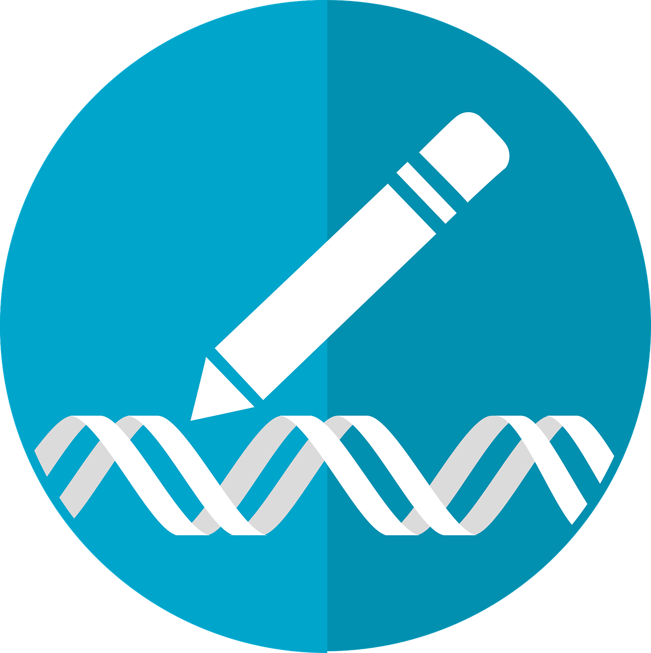 Genome editing, metaphors and language choices