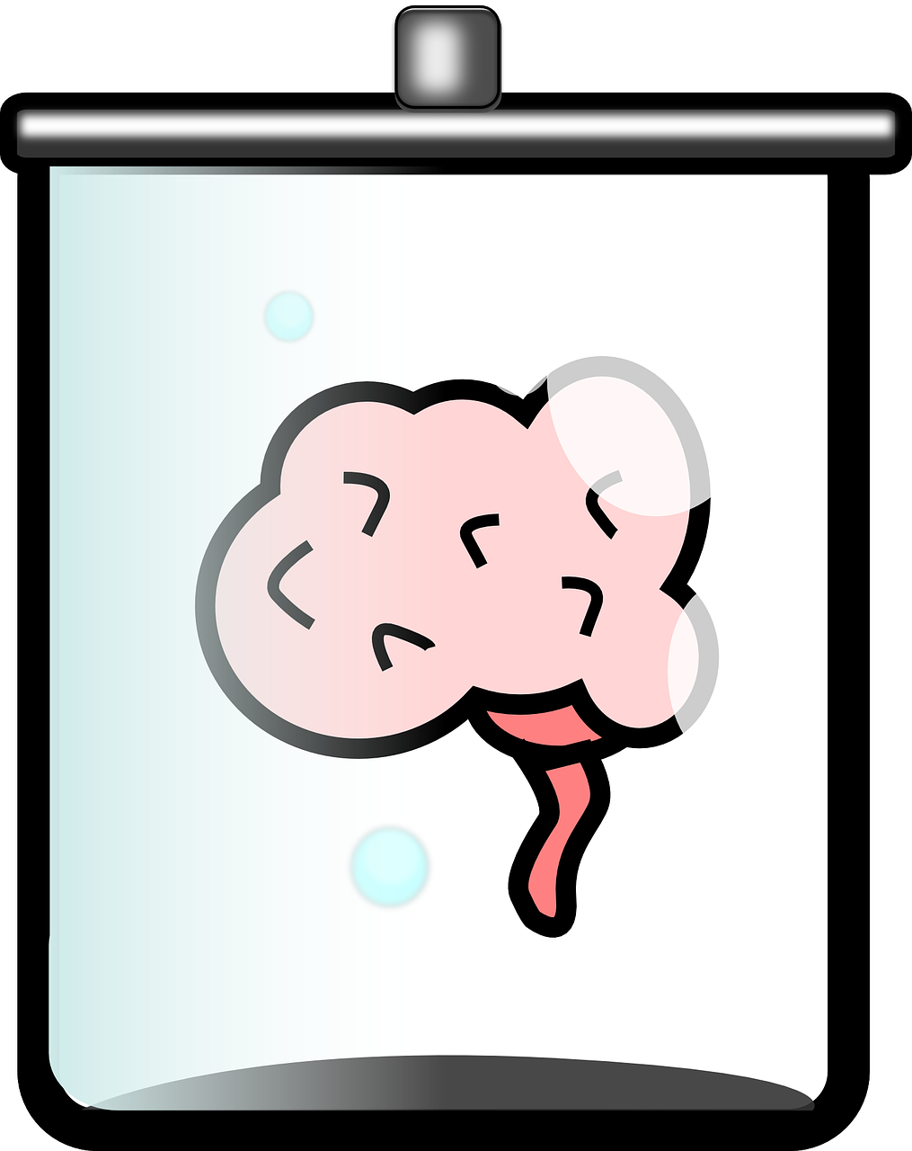 Organoid Intelligence