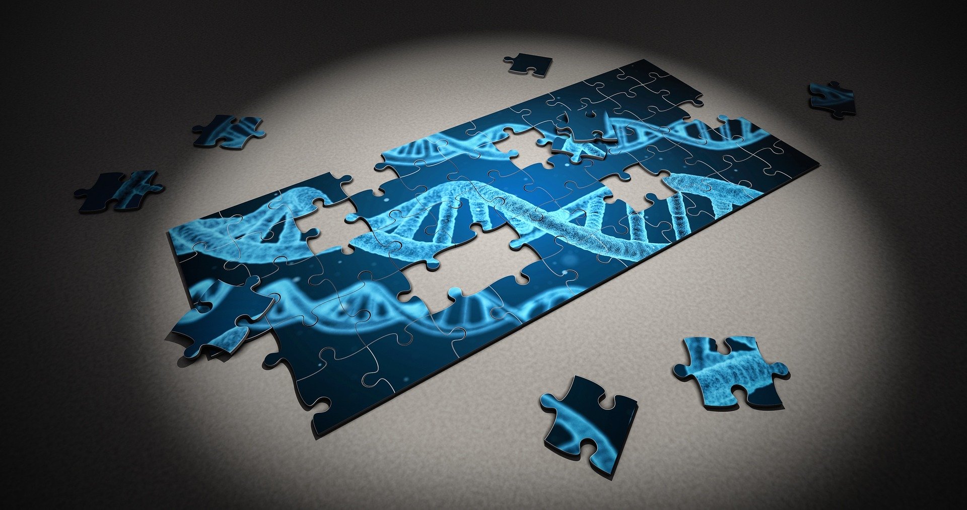 Moral Dilemmas in Science Journalism about Genetics Research: The case of gene drives