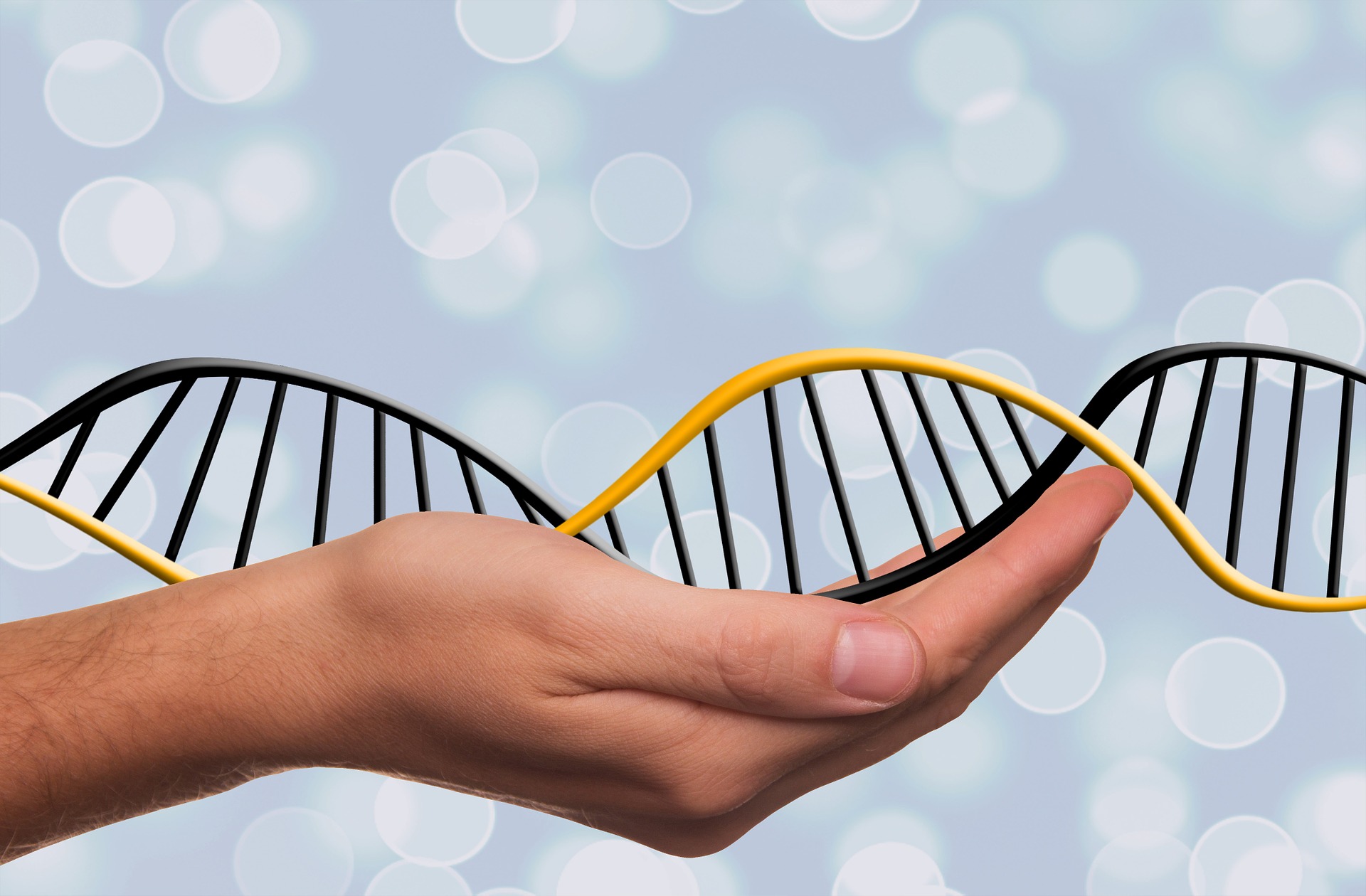 CRISPR culture