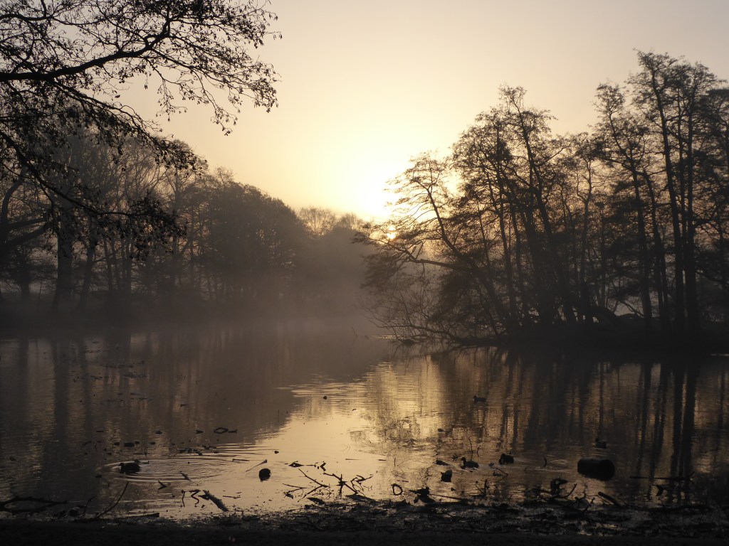 Making Science Public: End of year blog round-up,&nbsp;2018