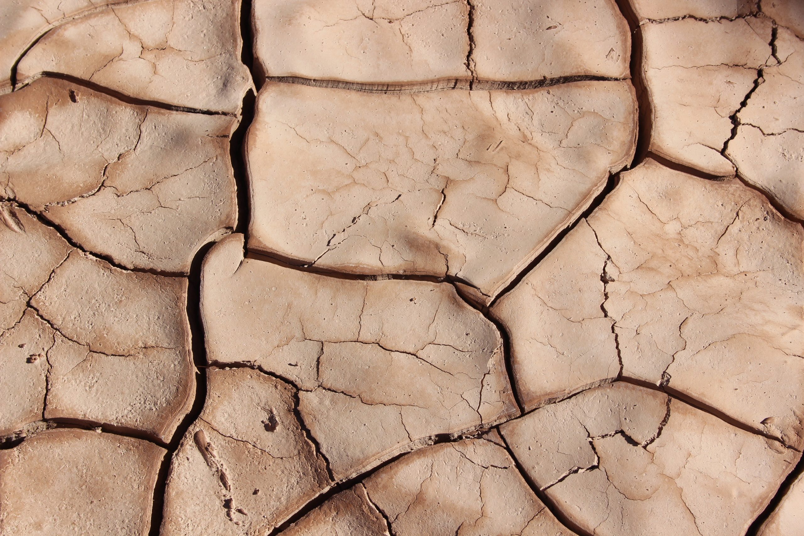 Climate change and language change