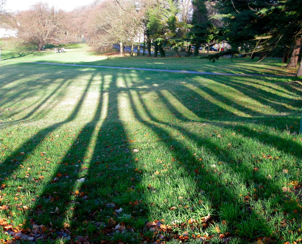 Making concepts public: Experiments in ‘conceptual show and&nbsp;tell’