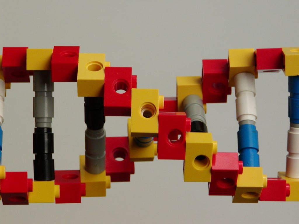 Synthetic biology: Modelling joys and fears brick by&nbsp;brick