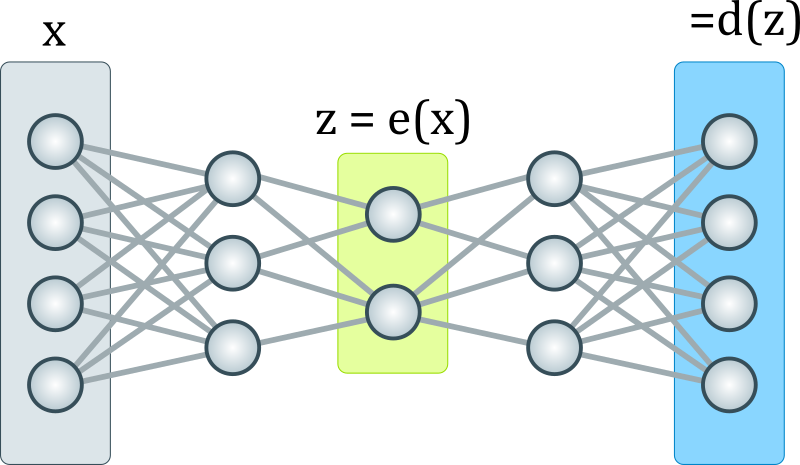 The genome as autoencoder: A new biological metaphor