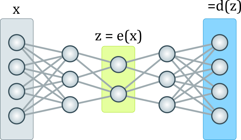 The genome as autoencoder: A new biological&nbsp;metaphor