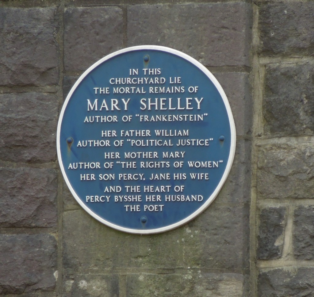 Social, cultural and ethical aspects of synthetic biology: A scientist’s perspective