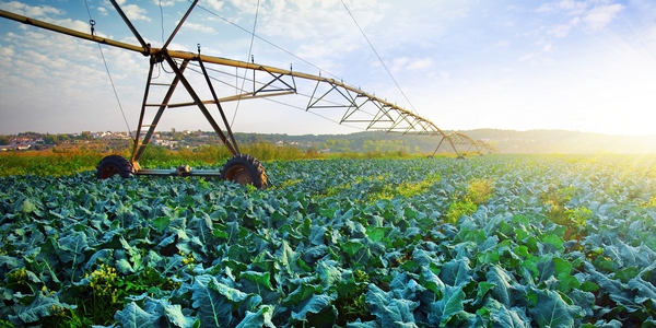 Putting Science in its&nbsp;Place