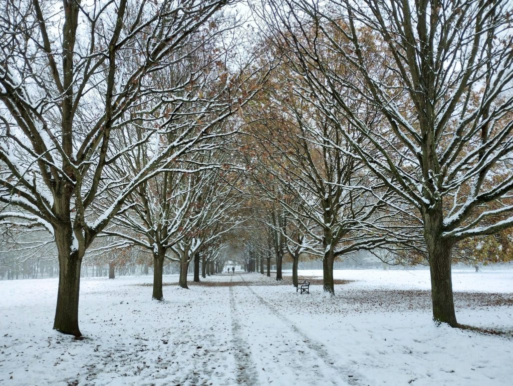 Making science public 2023: End-of-year round up of blog&nbsp;posts