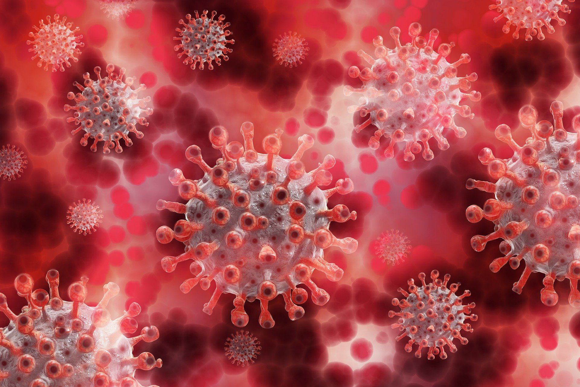 Mutation, vaccination, communication