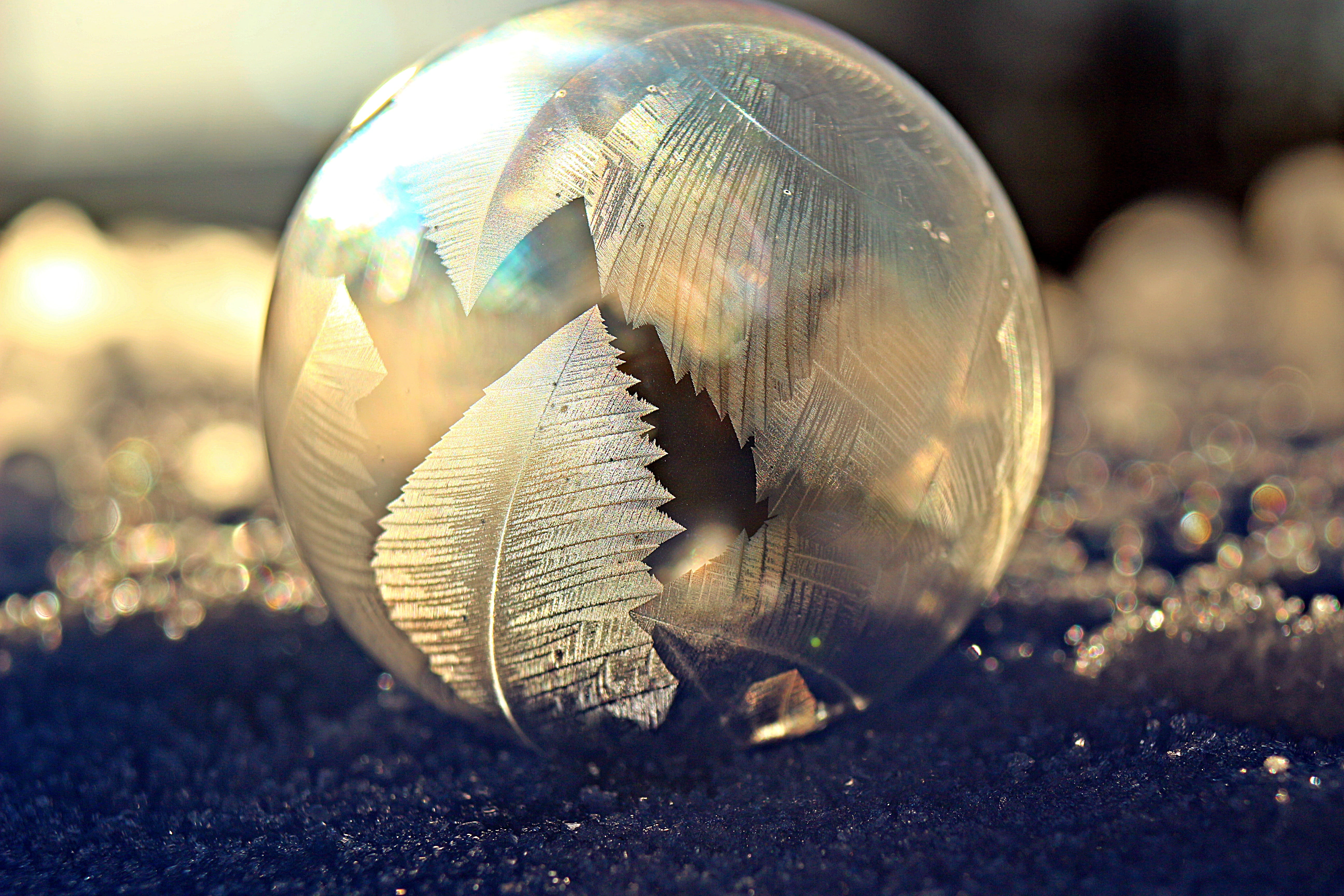 AI winter and AI bubble: Historical and metaphorical reflections