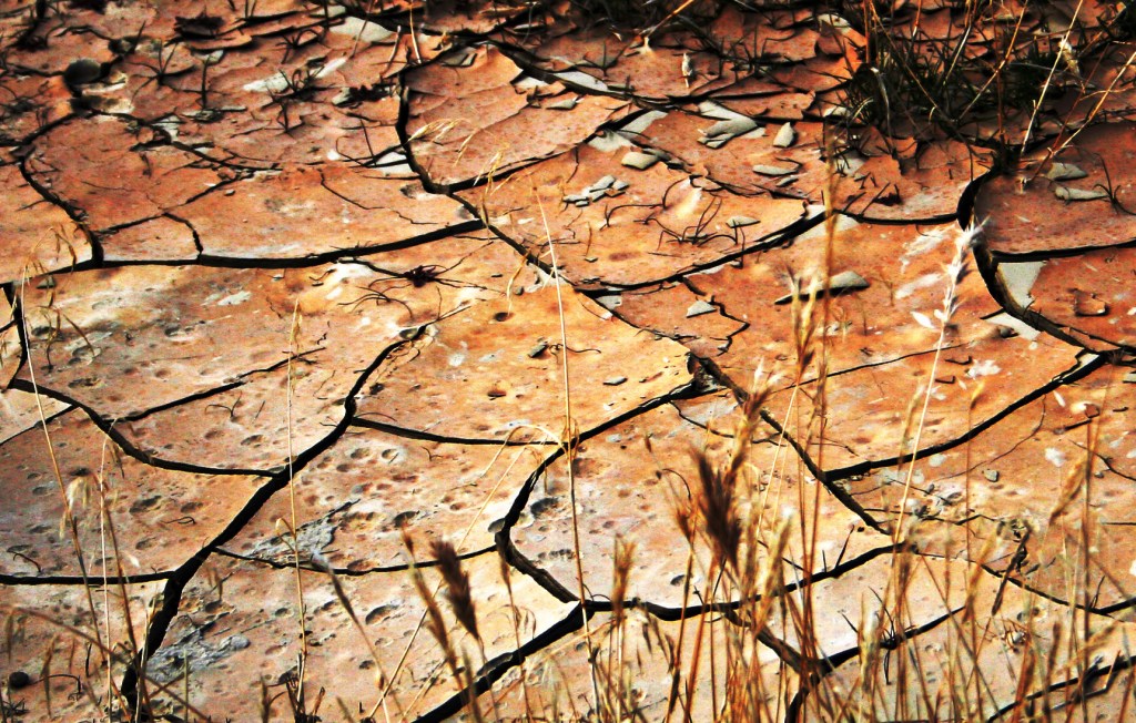 Climate change and climate discourse: A dual&nbsp;disintegration